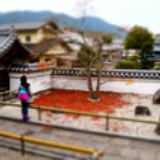 小菜园