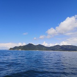 宇樾