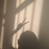 落日飞鱼