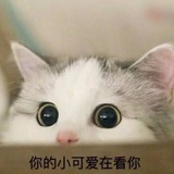 千年