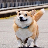 缘来是你