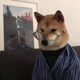 惠攒钱