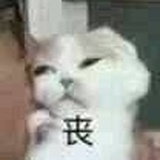 囧
