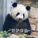 CR酱啊