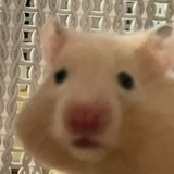 一个账号