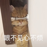 小包子