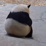 希望世界忘记我