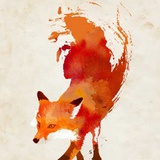 Foxorder
