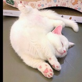 只想来杯热美式