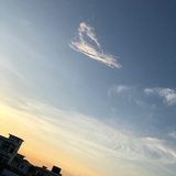 Enjoy🦊伊