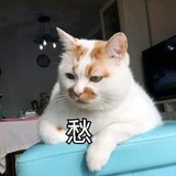 松松哈司