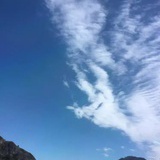 朵钰