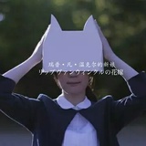 苏阿宁kkk