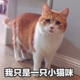 an