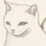 猫精
