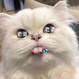 格鲁特米妮