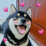 余甘子