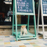 钰小妹