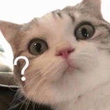 鱼鱼鱼