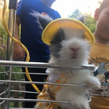 点水如爱