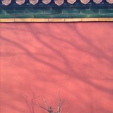 晓月丰尔