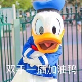 保持乖巧🍧🇨🇳
