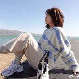 飞行指挥家