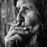 没有颜色的树