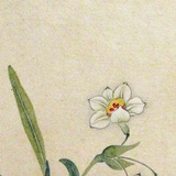 葭一