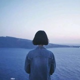 似木非木