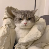几何瓶子