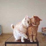 MMMMMine