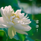 心理咨询王越