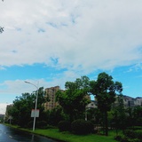 爱生活爱狗狗