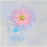 银河奶油蛋糕糕