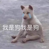 丧狗