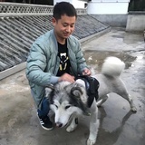 鸣人张