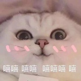 TingxiOngShouF