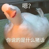 面苏