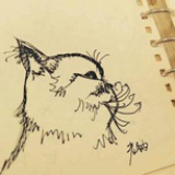 老纳
