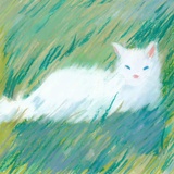 惠纸