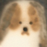 宝贝多看
