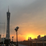 喵大爷