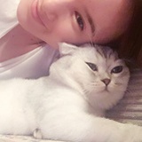 晓欣撞地球