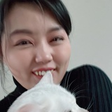 流浪的猫