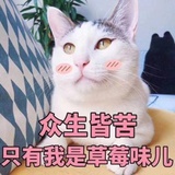 啾啾啾