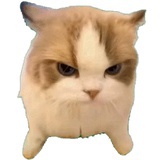 棉花糖