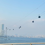 id是乱码