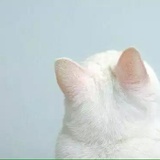 ℃Q