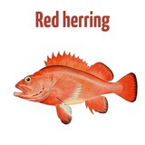 红鲱鱼